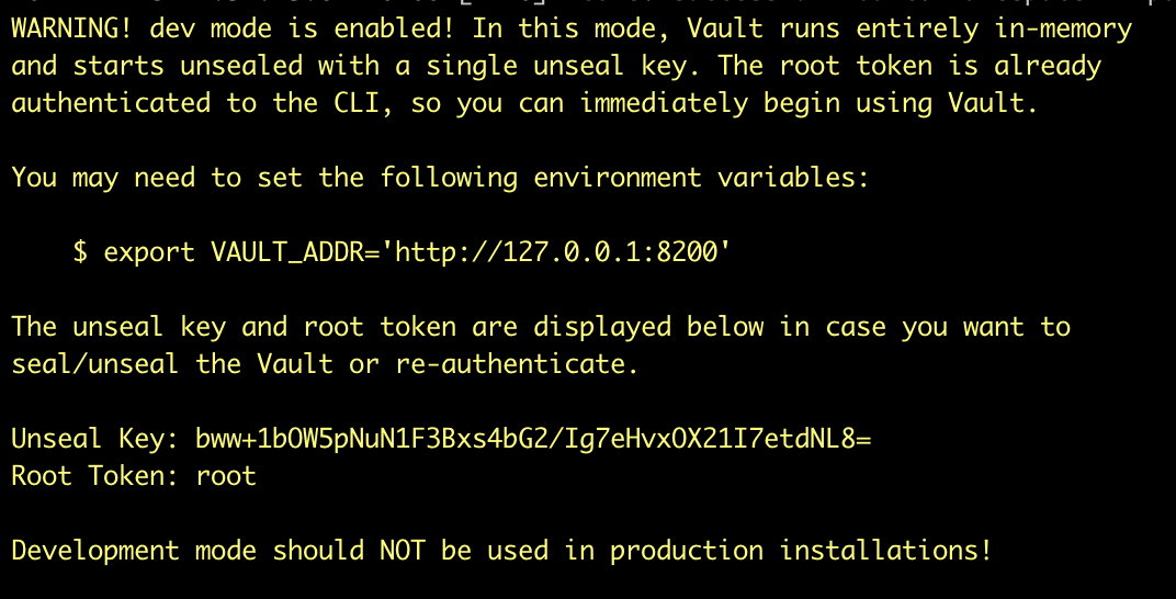 vault-server-dev